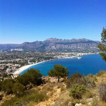 Guesthouse Villa Altea 阿尔啼