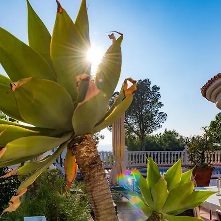 Guesthouse Villa Altea 4*