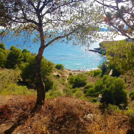 Pensión Guesthouse Villa Altea Altea